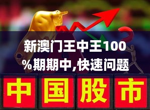 新澳门王中王100期期中,精选解析解释与落实