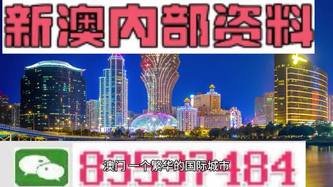 2024新澳门正版免费正题,精选解释解析