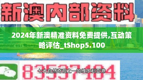 2024新澳精准正版资料|精选资料解释大全