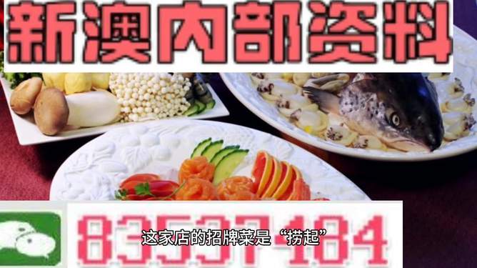 2024新澳精准资料免费|精选资料解释大全